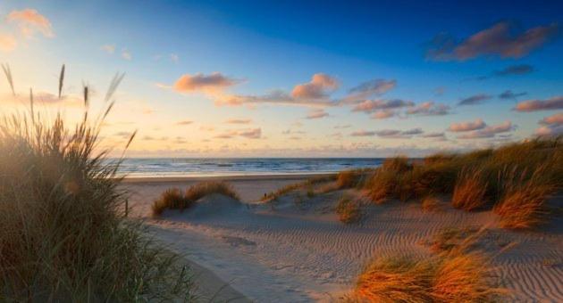 Fruit Of The - R.q.c. Apartment *