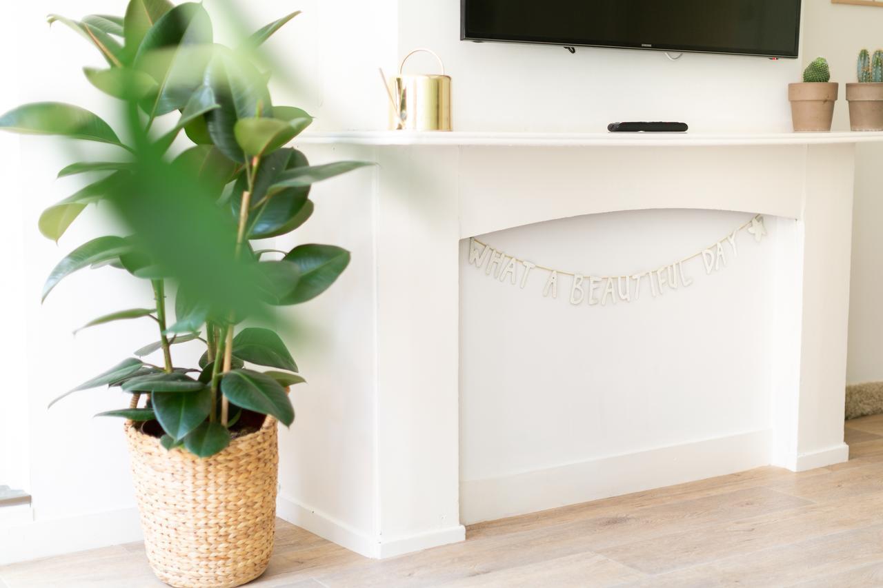 Apartment Fruit Of The - R.q.c.