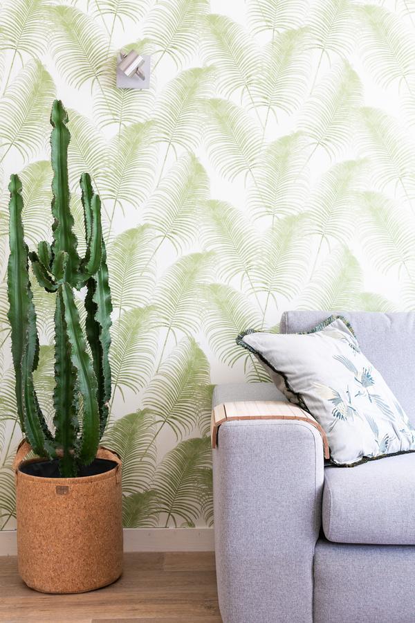 Apartment Fruit Of The - R.q.c.