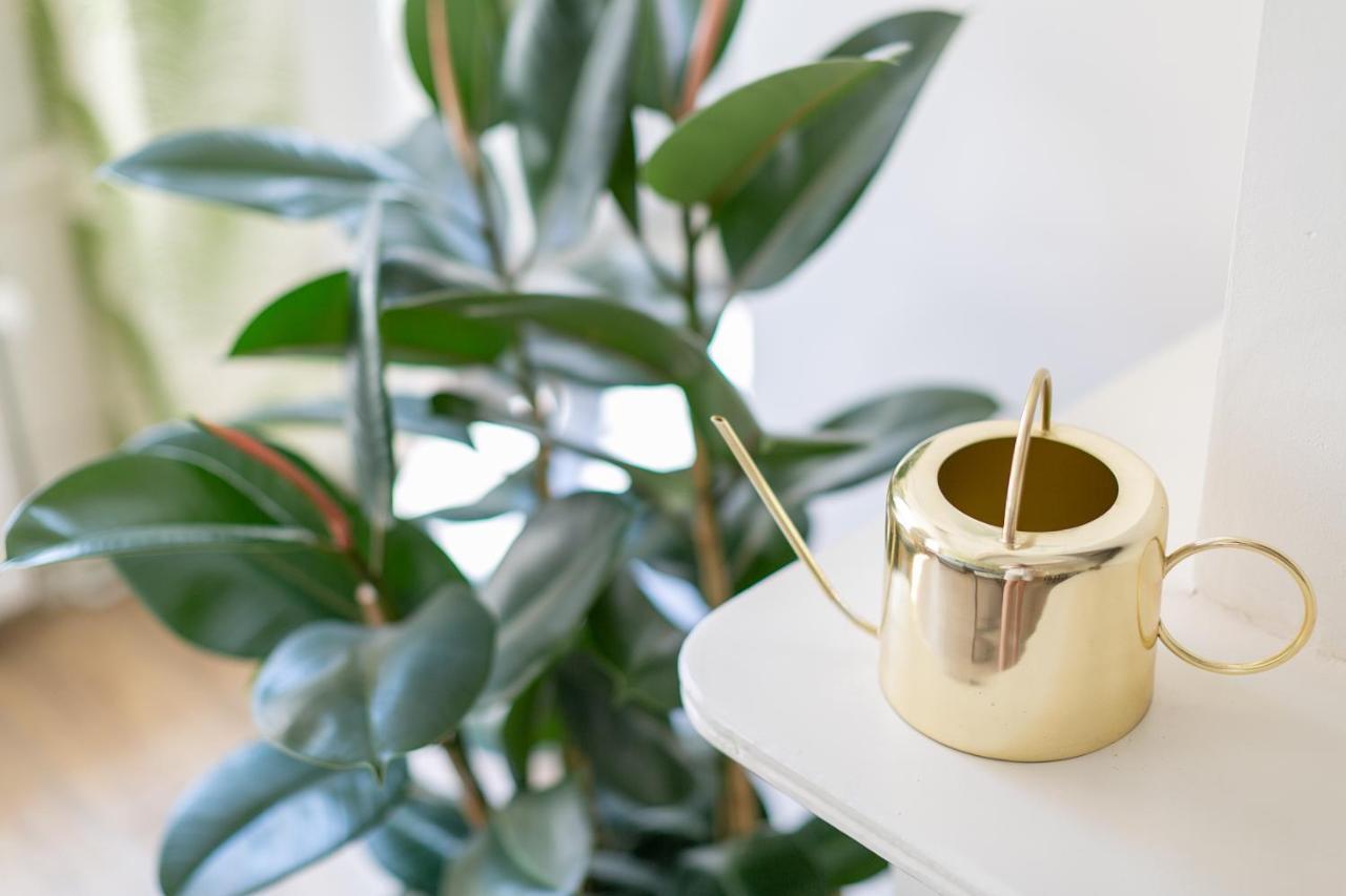 Apartment Fruit Of The - R.q.c.